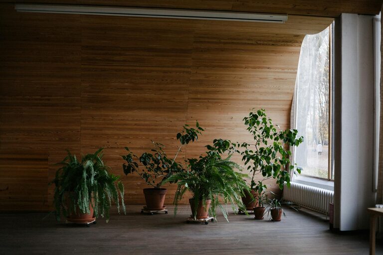 The Benefits of Incorporating Indoor Plants Into Your Home Decor